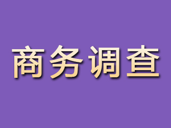 浠水商务调查